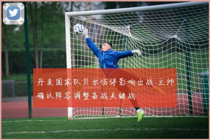 丹麦国家队贝尔伤停影响出战 主帅确认阵容调整备战关键战
