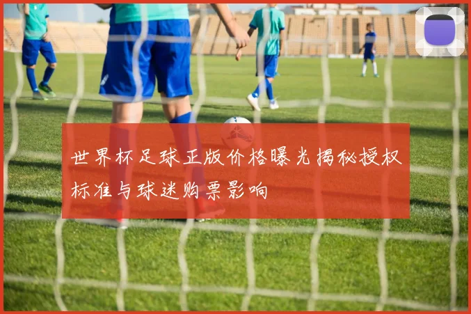 世界杯足球正版价格曝光揭秘授权标准与球迷购票影响