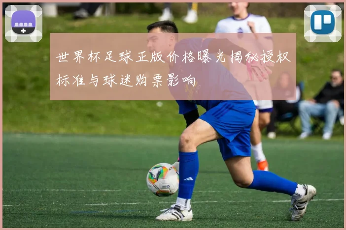 世界杯足球正版价格曝光揭秘授权标准与球迷购票影响