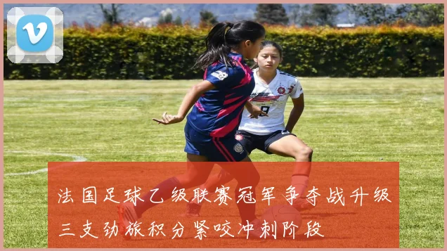 法国足球乙级联赛冠军争夺战升级三支劲旅积分紧咬冲刺阶段