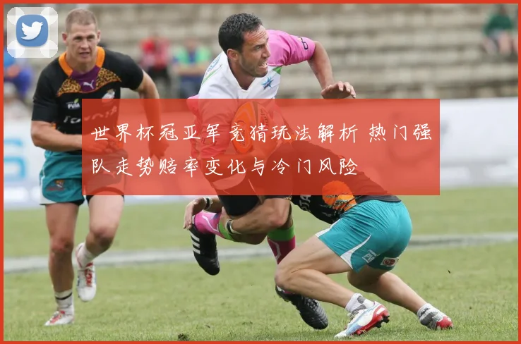 世界杯冠亚军竞猜玩法解析 热门强队走势赔率变化与冷门风险