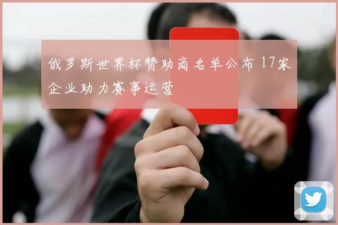 俄罗斯世界杯赞助商名单公布 17家企业助力赛事运营
