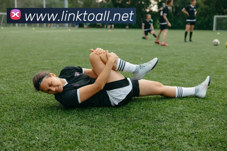 App Interface Preview