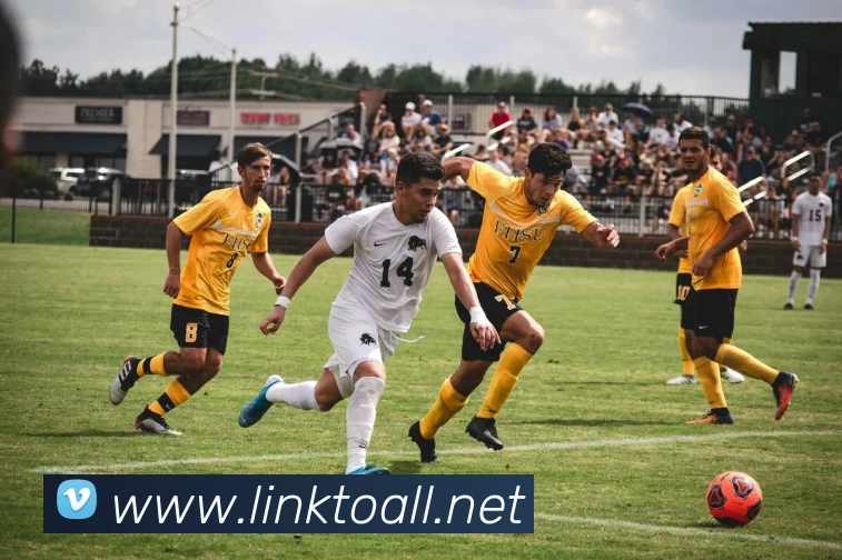 开云手机在线登录界面APP 封面图